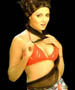 celina_jaitley_022.jpg