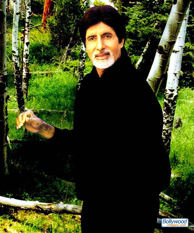 Amitabh Bachchan - amitabh_bachchan_013