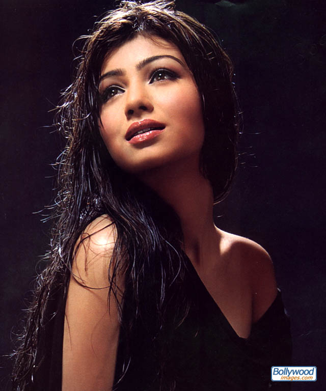 ayesha takia wallpaper. Ayesha Takia Photos, Ayesha