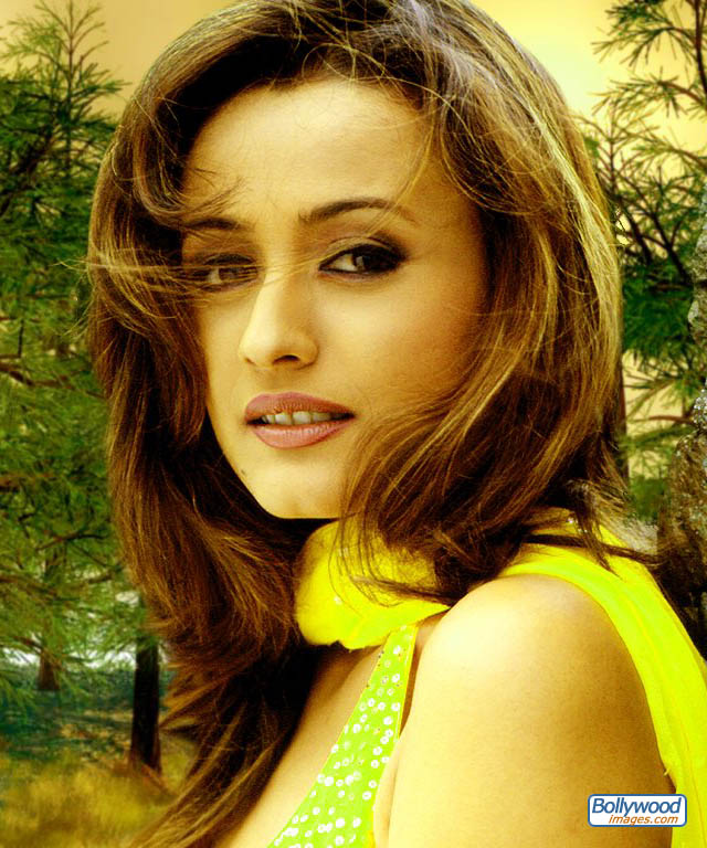 Namrata Shirodkar - namrata_shirodkar_015