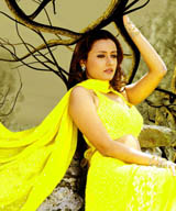 Namrata Shirodkar - namrata_shirodkar_016.jpg